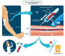 Load image into Gallery viewer, Phlebotomy Technician Seminar